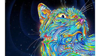 Cool Cat Abstract | HD wallpaper