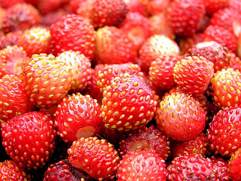Food, Strawberry, Berry, Ripe, Wild Strawberries HD wallpaper