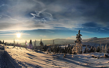 Winter, peaceful, wonderful, shining, fog, mountains, gorgeous, other, cold, miracle, magnificent, travels, nature, whiter trees, splendor blue in winter, graphy, silent, frosty, xmas, mist, quiet, holiday, shine, amazing, winter time, greeting, frozen, beautiful, splendidly, seasons, celebration, christmas, cool, splendor, rivers HD wallpaper