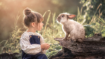 Cute Little Girl Is Looking Rabbit Wearing White Blue Dress In Grass Sunlight Background Cute HD wallpaper
