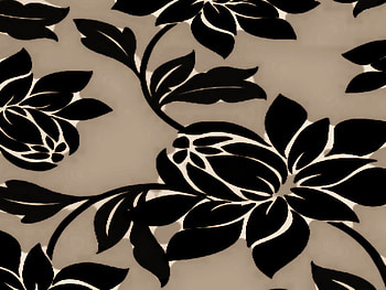 pattern blanche, velvet, soft, leaf, graph, dark HD wallpaper