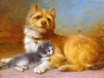 Maternal Instinct, love four seasons, animals, dogs, cats, draw and paint, paintings, dogs and cats HD wallpaper