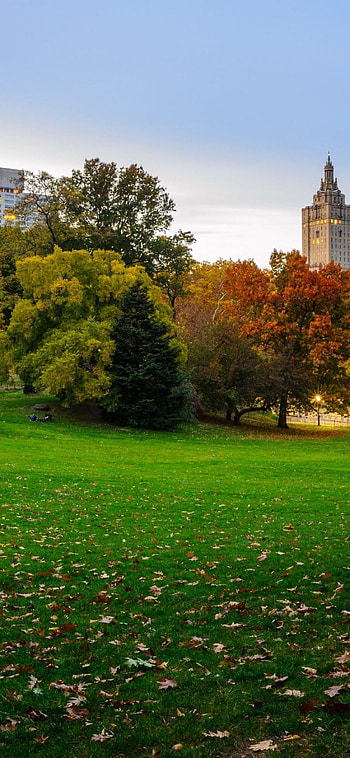 Central Park, , Backgrounds HD phone wallpaper