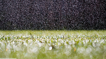RainDrops On Grass, grass, nature, rain, drops HD wallpaper