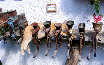 COMFORT BED for TWO, two, grinder, bed, cats, metal, comfort HD wallpaper