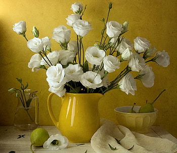 White flowers, white, nature, flowers, pears HD wallpaper