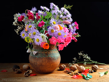wild flowers, fullcolour, still life, pot vase, beautiful, fruits HD wallpaper