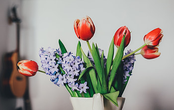Flowers, Lilac, Tulips, Bouquet, Vase HD wallpaper