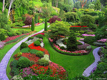 garden, bushes, trees, nature, flowers HD wallpaper