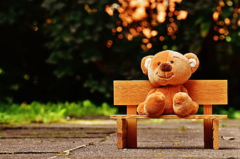 Cute teddy bear sitting on a wooden bench in a sunny, lush garden setting. HD wallpaper