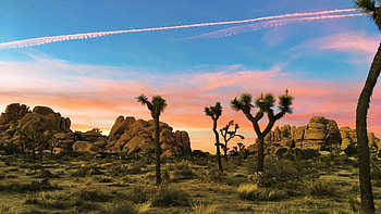 Sunset in the desert, Joshua Tree National Park, California, sky, rocks, landscape, trees, colors, usa HD wallpaper