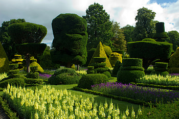 Nature, Great Britain, Bush, United Kingdom, Flower Beds, Lawns, Bodnant Gardens Wales HD wallpaper
