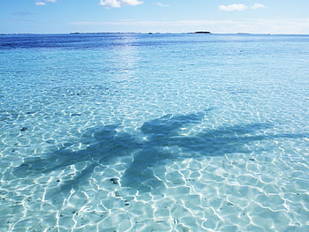 Landscape, Water, Sea HD wallpaper