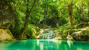 Lake And Water Cascades In Forest, nature, lake, water, forest HD wallpaper