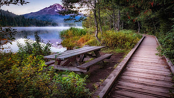 Boardwalk at Trillium Lake with a view of Mt Hood, Washington, landscape, trees, bench, mountain, usa HD wallpaper