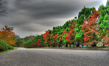 Beautiful Nature PC Laptop Beautiful Nature | | Pinterest | Beautiful nature , and HD wallpaper