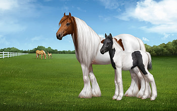 Beautiful Horses, Mother, White, Beautiful, Brown, Grass, Black, Baby, Horses HD wallpaper