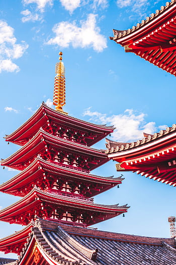 Explore the beauty of a traditional Japanese pagoda captured in Tokyo. HD phone wallpaper