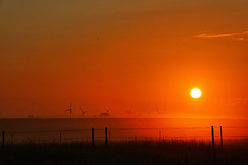 Landscape, Nature, Sunset, Sun, Twilight, Field, Dusk HD wallpaper