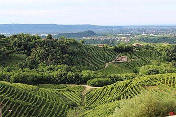 Landscape, Nature, Italy, Hills, Veneto, Treviso HD wallpaper