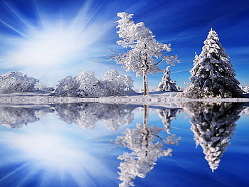 Dazzling winter sun, winter, blue sky, dazzling, snow, trees, nature, sun HD wallpaper