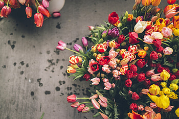 Flower Bouquet, Fall bouquet , , Autumn floral display HD wallpaper