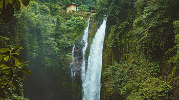 Aling Aling, Rainforests HD wallpaper