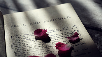 Miscellanea, Miscellaneous, Petals, Shadow, Text, Book HD wallpaper