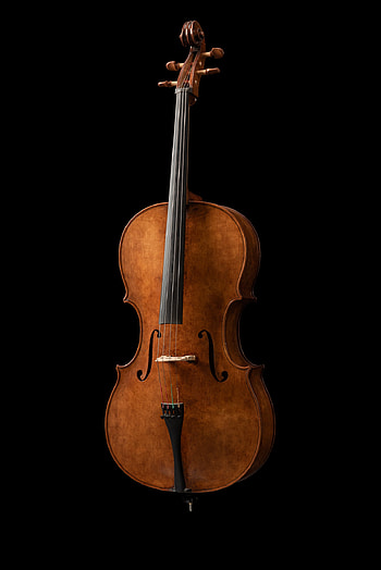 Violin shop, Stringed instrument sale, Quality craftsmanship, Music store HD phone wallpaper