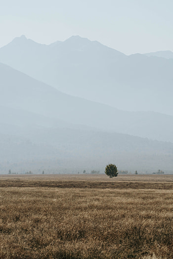Landscape, Nature, Mountains, Fog, Field HD phone wallpaper