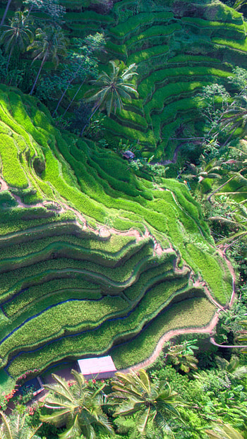 Bali inspiration, Cultural immersion, Serenity found, Wanderlust calling HD phone wallpaper