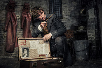 Eddie Redmayne As Newt Scamander In Fantastic Beasts The Crimes Of Grindlewald, fantastic-beasts-2, fantastic-beasts-the-crimes-of-grindelwald, 2018-movies, movies, eddie-redmayne HD wallpaper