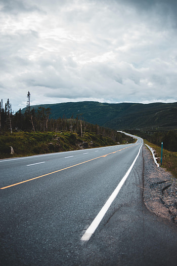Road, Nature, Trees, Markup, Hills, Dahl, Distance HD phone wallpaper