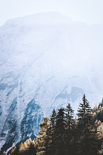 Nature, Trees, Mountains, Pine, Shine, Light HD phone wallpaper