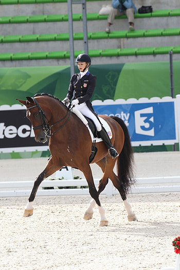 Laura Graves, Dressage HD phone wallpaper