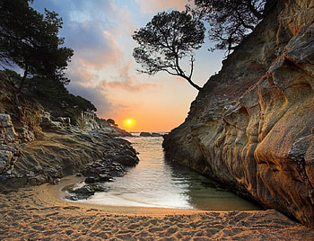Little Bay, bay, nature, tree, sunset HD wallpaper