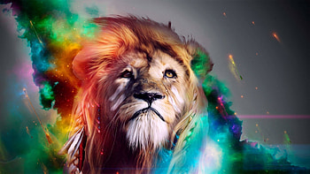 Stoner s HD wallpaper