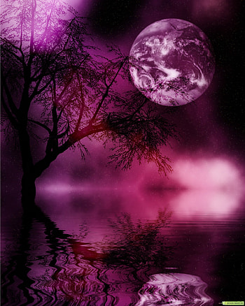 Landscape, Night, Moon HD phone wallpaper