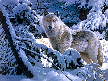 Animals, Wolfs HD wallpaper