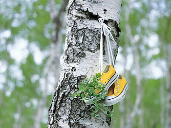 Life - , white, gray, green, yellow shoe, tree HD wallpaper