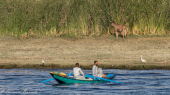 Egypt — Man-Made Nile Life, man made, Egypt HD wallpaper