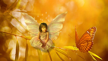 elves and butterfly, fairies, fantasy, butterfly, elves HD wallpaper