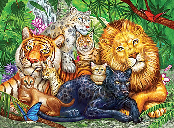 Cats, tiger, lion, leopard, big, jungle HD wallpaper