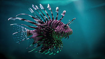 Neon Lionfish —, Lionfish, Fish, Underwater, Marine Life HD wallpaper