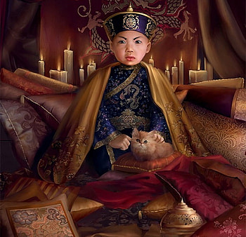 his only friend, bed, abstract, fantasy, prince, cat, pillows, child HD wallpaper