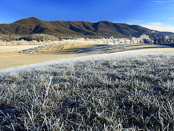 Nature, Grass, Field, Morning, Hoarfrost, Frost HD wallpaper