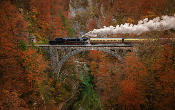 Train Autumn Bridge, Train, Autumn, Fall, Bridge HD wallpaper