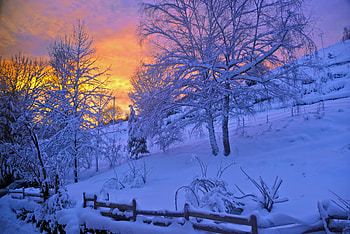 Winter, Nature, Trees, Sunset, Sky, Snow, Fence HD wallpaper