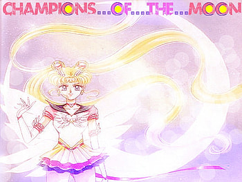 Champion Of The Moon, The, Of, Sailor, Moon, Champion HD wallpaper