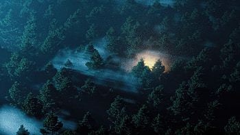 Enchanted Twilight In The Dark Forest, forest, nature, artstation HD wallpaper